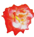 sticker_14158913_21485412