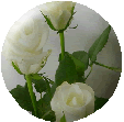 sticker_5581779_10008117
