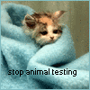 sticker_12070195_21226639