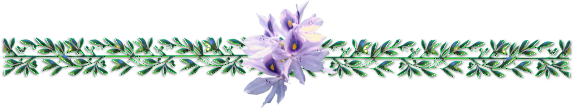 sticker_1537002_13454404