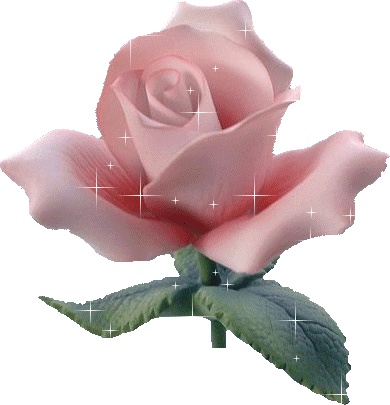 sticker_11953067_20359544