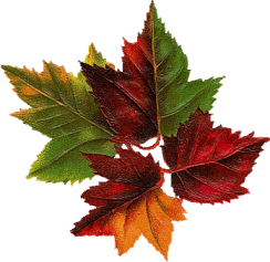 sticker_14901791_41017920