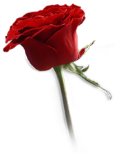 sticker_800051_937358