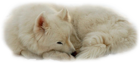 sticker_11574120_16311349