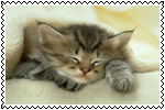 sticker_21714274_35836488