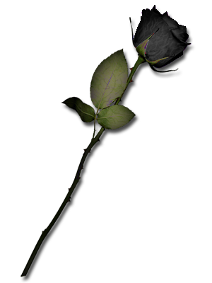 sticker_5579805_14671938
