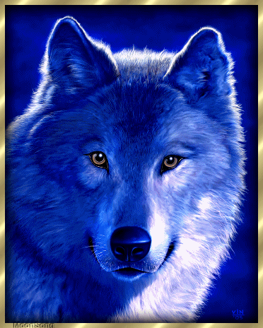 sticker_13134087_30433045