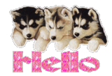 sticker_21907721_31789137