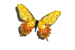 sticker_4971354_9337211