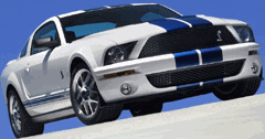 sticker_9728165_15164398