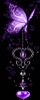 fairy butterfly