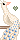 Albino Peacock
