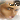 Juicyboayy badge