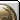 blank badge 2 2013-07-17 14:42:53