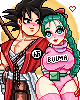 Goku &amp; Bulma