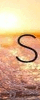 Super Badge 1