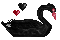 The Black Swan