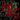 B N S