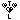 T x L