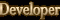 developer