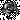 Black Rose