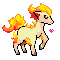 Ponyta