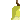 Pear 1