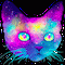 Ellohim Galaxy Cat